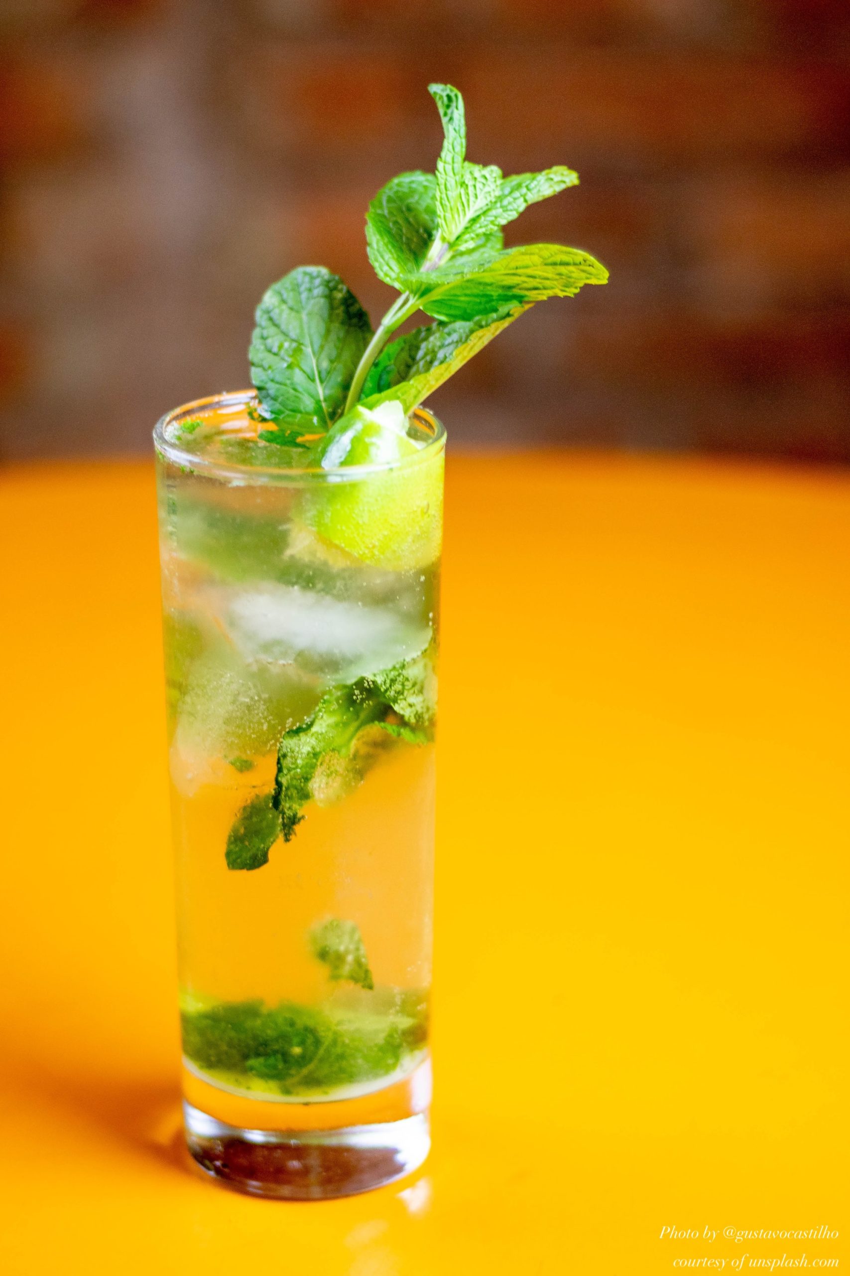 Simple Gin Mojito (Gin & Mint Cocktail)